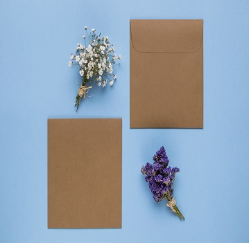Single Colour Envelope